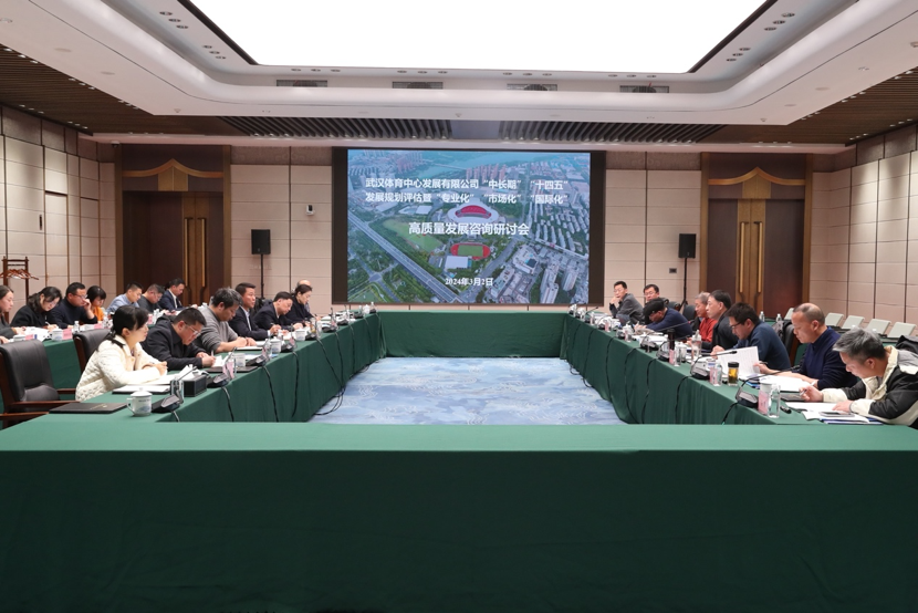公司召開“中長期”、“十四五”發展規劃評估暨“專業化、市場化、國際化”高質量發展研討會