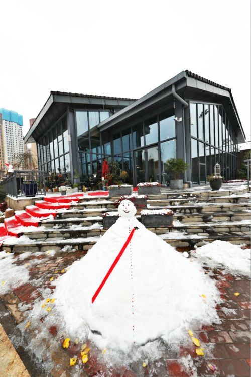 一場雪，體育中心美得不要不要的</br>但最美的風景還是他們(圖11)